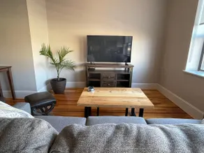 Beautiful new 1 BDR/1 BA downtown apartment B - Image 4