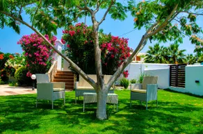 Evilion Villa - Image 5