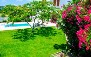 Evilion Villa - Image 4