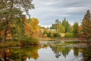 Cedar Cabin Overlooking Bedgebury Forest - Image 5