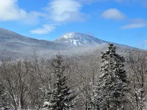 The Loaf View - 3 Bed Apt - 10 min from Sugarloaf - Image 5