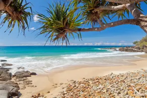 Escape to Coolum - Vibrant Beachside Lifestyle - Image 5