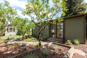 Midvale Mama, Heart of Oakland's Laurel District - Image 2