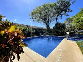 Tropical oasis view, close to beautiful beaches - Image 4