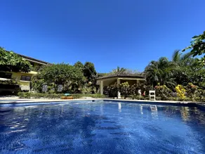 Tropical oasis view, close to beautiful beaches - Image 3