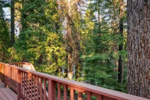 Mtn Cabin w/Game/Sports/Pool Tbl/MovieThtr Dogs Ok - Image 3