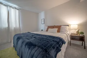 Spacious suite near Denver's best neighborhoods! - Image 5