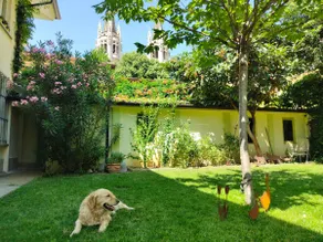 Green Relax in San Salvario - Image 2