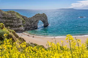 Thatched Cottage by Lulworth Cove & Durdle Door - Image 5