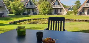 Holiday home 't Gramsbergje - Image 4