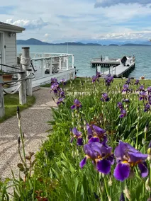 Skipping Rock Retreat ~ On Flathead Lake - Image 4