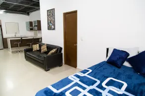 Loft Nuevo Centro Guadalupe, billing. - Image 4