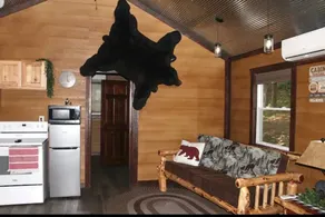 The Bear Den (Pine Valley Cabins) - Image 3
