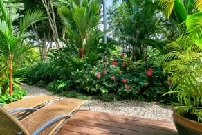 Port Douglas Apartments - Adults Only Oasis - Image 5