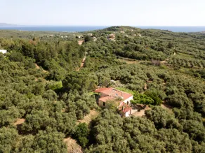 Sarris House - Image 2