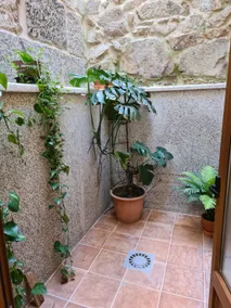 CASA VEIGA - Image 5