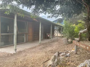 Driftwood Cabin - dog friendly boho beach vibe - Image 2