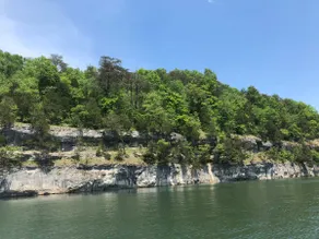 Lakefront Condo at Woodson Bend Resort on Lake Cumberland - Image 4