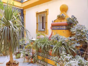RUFINA STUDIO. Peace and quiet, Alameda de Hércules! - Image 4