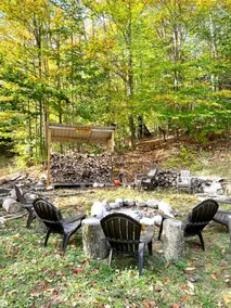 5 BR log cabin - Hot Tub - 40 private acres - Hiking trails - Image 4