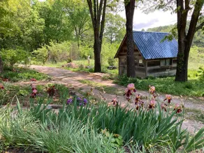 10 guests, 16 secluded Acres 1 Acre Fishing Pond - Image 2