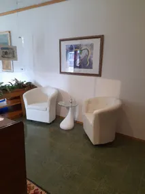 The green corner - Image 2