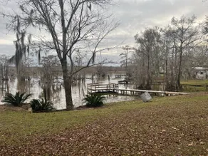 Tranquility on beautiful Gantt Lake - Image 4
