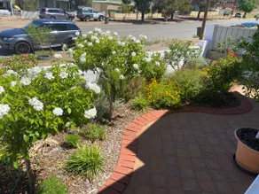 Thomas Cottage-Self Check-in, WiFi, Netflix, w/AC - Image 3