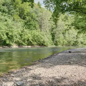 Cozy riverfront cabin on 106 acres near Bristol - Image 3