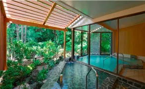 Sauna/Onsen/BBQ/Nature/WiFi/B9 - Image 3