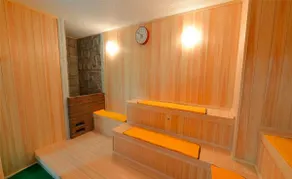 Sauna/Onsen/BBQ/Nature/WiFi/B9 - Image 4