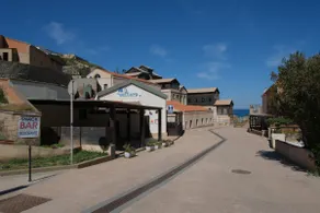The Blue Agave in the charming Argentiera - Image 5