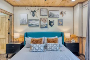 Blue Ridge Cabin: 3 Master Suites, Sauna & Hot Tub - Image 5