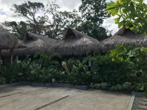 Cosy and quiet cottage Rider's Paradise 4, Panglao - Image 3