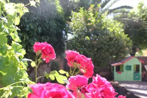 A beautiful house with a garden and a lot of charm - Image 3