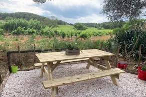 Quiet - Vineyards and Pine Forest - Pezenas - Image 2