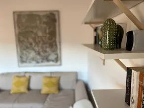 IBONES apartment in downtown Jaca - Image 2