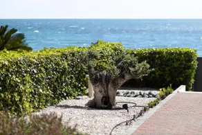 Beachfront. Direct access to Cala del Soio - Image 2