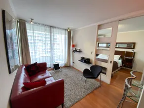Brizen Apartments Manuel Montt - Image 3