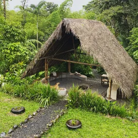 A pleasant country house surrounded by nature - Image 2