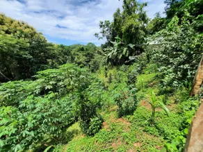 Guayacanes Ecotourism - Image 4