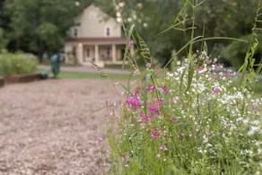 Sweetwater Farm with firepit and hiking trails! - Image 4