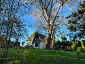 Lovely original 70s home in a big beautiful garden - Image 5