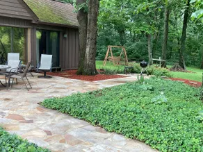 Rustic Guest House Cabin in a Secluded Setting - Image 2