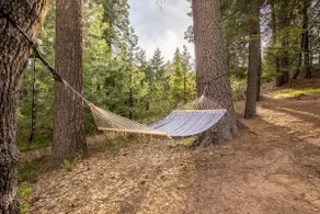 Cozy Mountain Retreat in Big Trees Village - Image 5