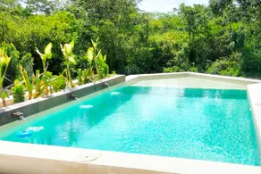 Casa de los Pájaros - house in nature - Image 3