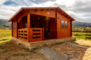Quinta do Quinto - Pinheiro House - Image 2