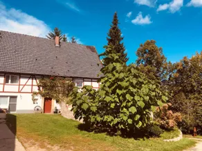 Ferienwohnung „Am Gnaucks Hutberg“ - Image 2