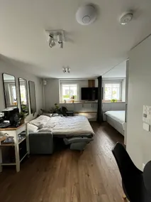 Erlen apartment with kitchen & free parking - Image 4