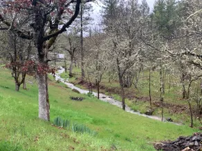 Spectacular Cozy Cottage- Wood Stove, Fire Pit, Creek - Image 2